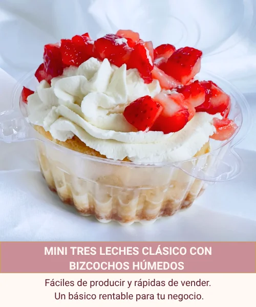 6 imagenes para la pagina (400 x 400 px) (600 x 800 px) (500 x 500 px) (500 x 600 px) (2)